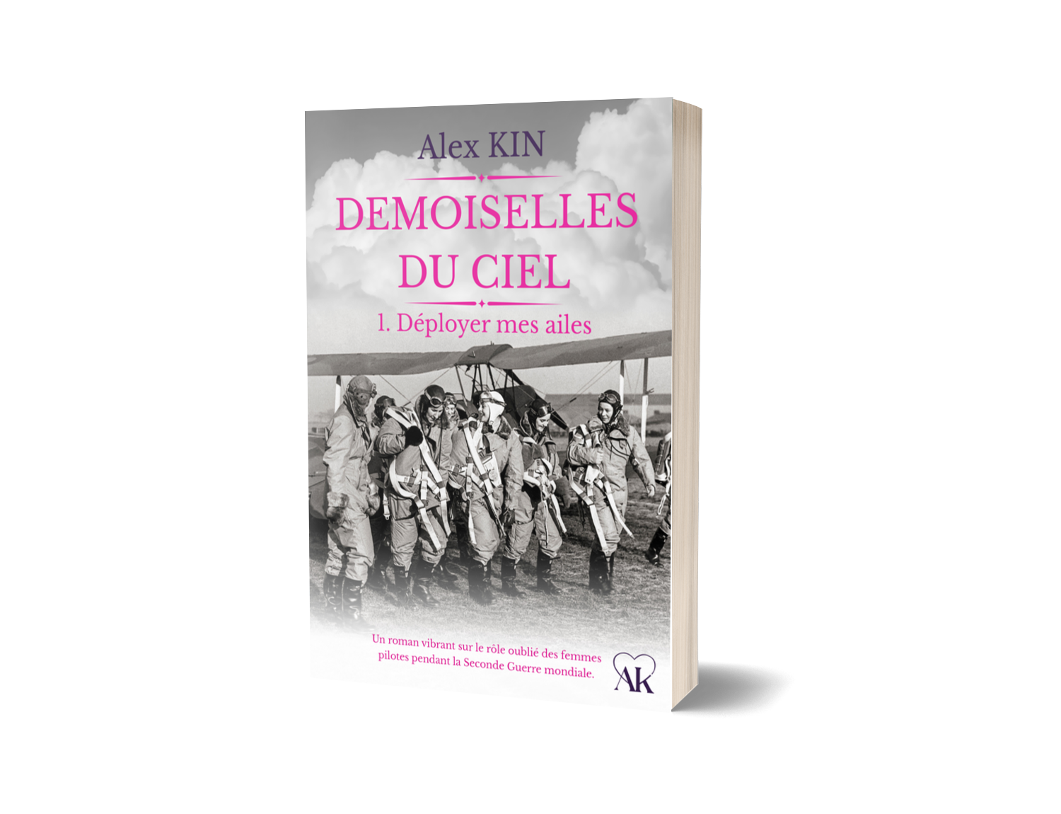 Couverture du livre Demoiselles du ciel - T1
